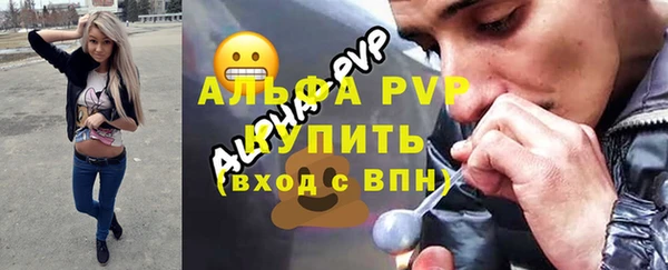 твердый Арсеньев